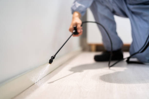 Professional exterminator conducting IPM assessment in Topanga